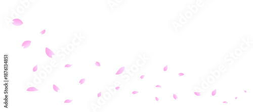 桜吹雪のフレームイラスト　コピースペース