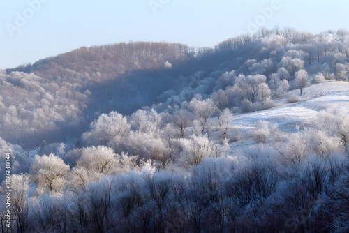 Stunning frost-covered landscape showcasing rolling hills and trees shimmering in winter sunlight. Nature concept