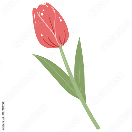 Red Tulip with Green Leave Illustration