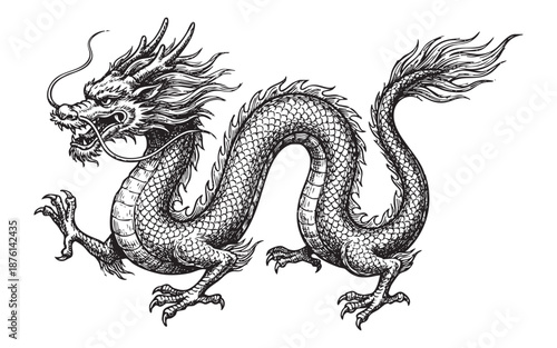 Chinese Dragon Mythological Creature engraving vector illustration