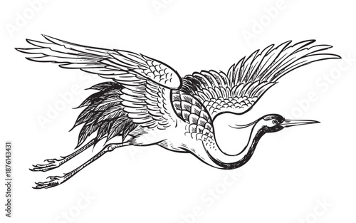 Flying Crane Bird with Spread Wings engraving vector illustration
