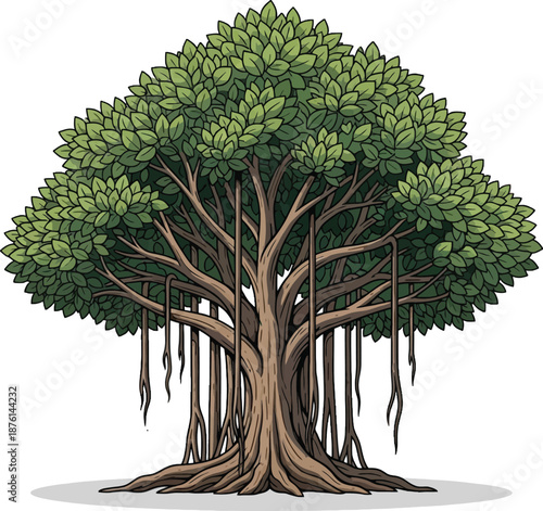 Large Tree with Hanging Roots Illustration.