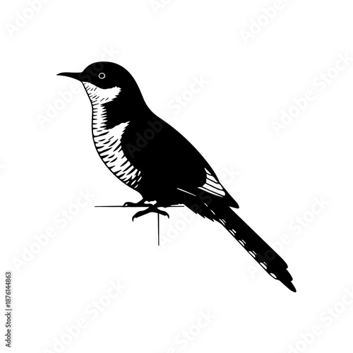 A black bird perched on a wire, illustrated in black and white, showcasing its detailed feathers from a side view.