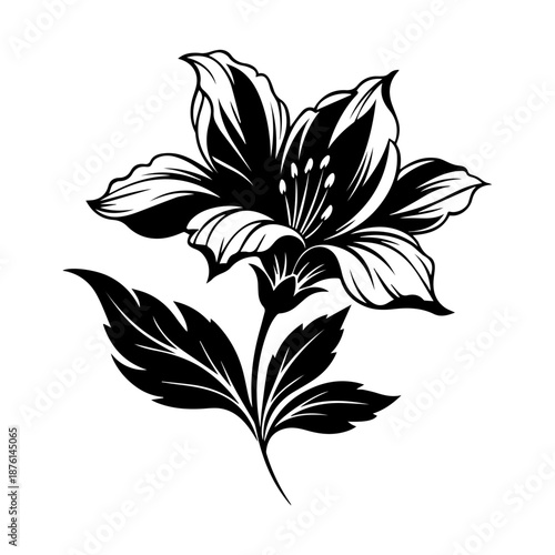 A black and white illustration of a lily flower with leaves on a stem