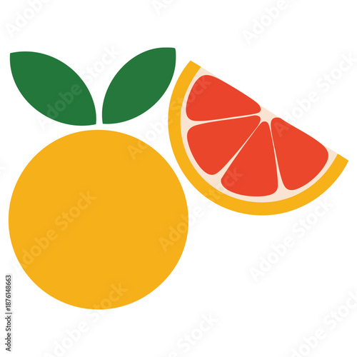Grapefruit set isolated on white background vector illustration