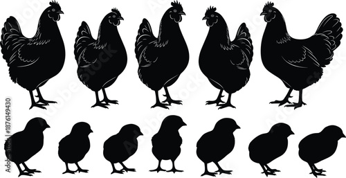 Black Silhouette Set of Hens and Small Chicks Isolated on White Background for Poultry Farming Organic Agriculture and Fresh Food Concepts