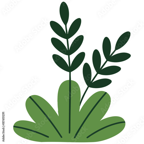 Green grass leaves vector for nature decoration and background designs isolated on white background