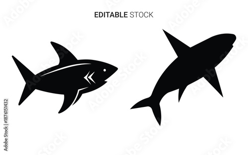 black fish and shark silhouettes on white background silhouette high quality professional detailed