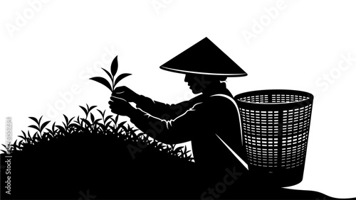 Farmer inspecting young plants in a field with a basket