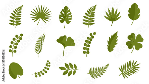 Tropical green leaf collection with fern monstera and palm botanical elements set