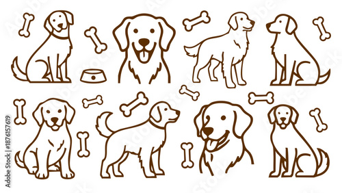 golden retriever dog breed line art vector illustration collection for pet lovers