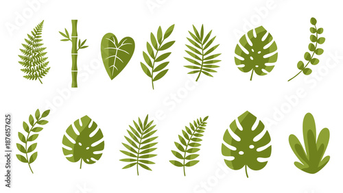 Green tropical leaf and bamboo set for exotic botanical nature design elements