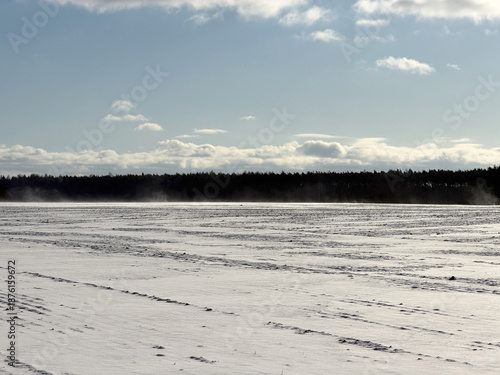 A frozen winter field with blowing fine snow, forest in the background and severe frost, showing cold weather, wind, winter landscape and seasonal nature.