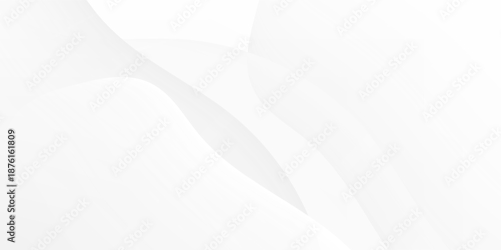 Obraz premium light gray background with soft wavy lines that looks simple and natural. Modern Trendy design in Vector Illustration