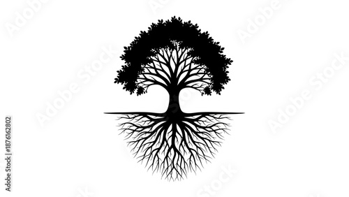 Black silhouette of a tree with visible roots and branches.