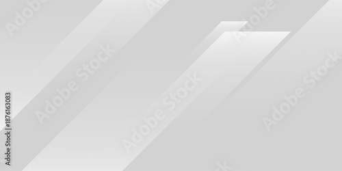 3D white geometric abstract background overlap layer on bright space