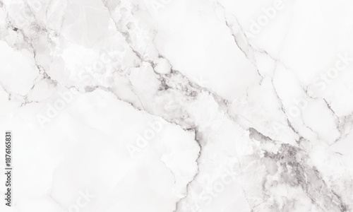 High resolution white marble stone floor texture
White marble texture natural veins design artwork