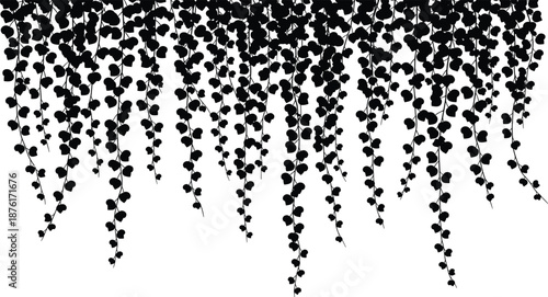 Hanging vine silhouette illustration, cascading leaves, black botanical design, nature element, decorative foliage, white background, organic flow, plant pattern