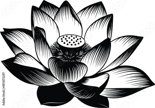 Elegant lotus flower, detailed monochrome drawing for spiritual themes