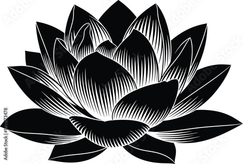 Engraved lotus flower, detailed botanical illustration on peaceful meditation