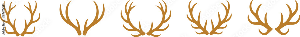 Obraz premium Five brown deer antlers on white background animal
