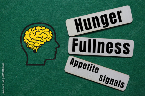 Картината върху платно Brain hunger fullness appetite signals illustration