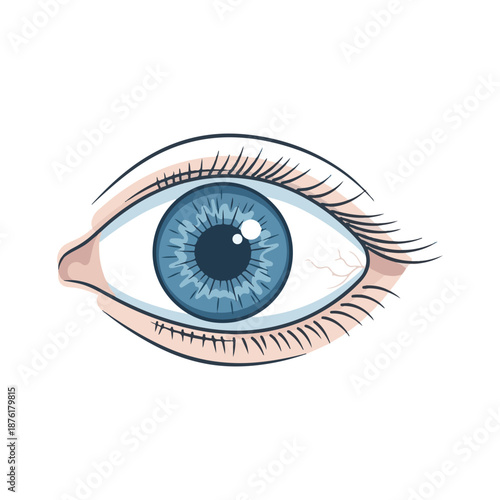 A detailed illustration of a vibrant blue human eye with visible eyelashes and blood vessels, representing vision and the human body