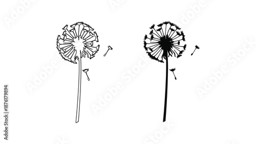 An illustration of three dandelions in different stages of growth and color