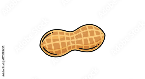 Detailed illustration of a single peanut in its textured shell isolated on a clean white background for design.