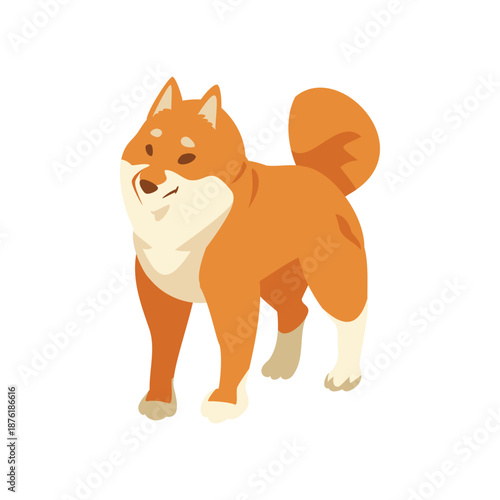 Illustration of Shiba Inu Dog  