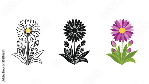 Three Stylized Daisies in Line and Color daisy flower