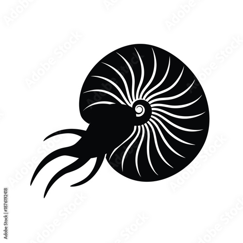Classic Silhouette of a Chambered Nautilus Isolated on White Background