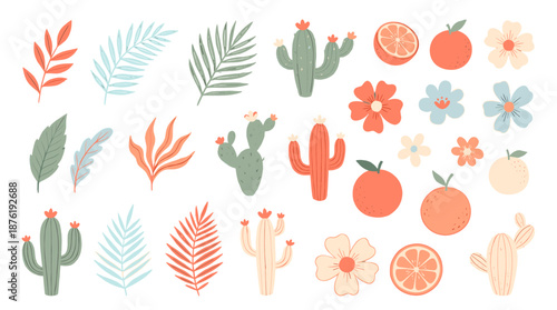 A vibrant collection of botanical illustrations featuring cacti, flowers, and leaves in various shades of orange, green, and white, displayed against a clean background
