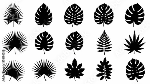 Collection of exotic leaves silhouettes. icon set. Vector illustration