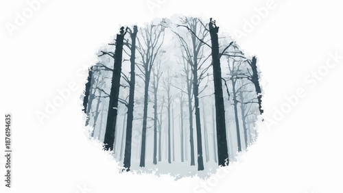 Silhouettes of bare trees in a misty, snow-covered forest