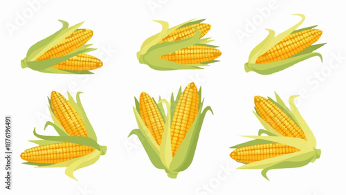 Six arrangements of ripe yellow corn on the cob with green husks