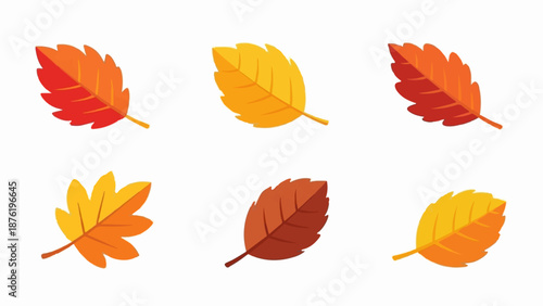 Six autumn leaves in warm tones, red, orange, yellow, and brown, scattered