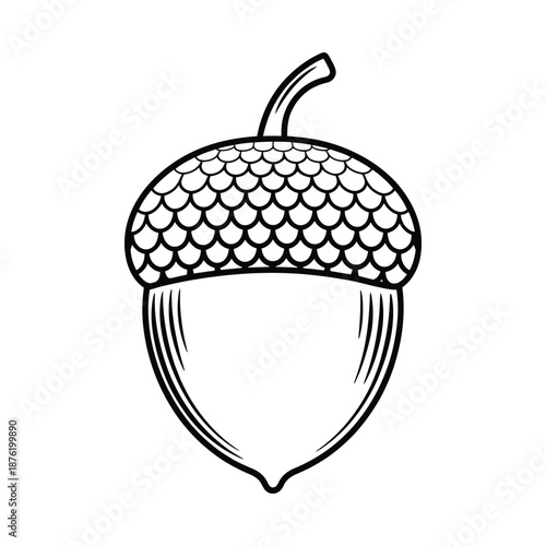 a black and white drawing of an acorn with a stem on top