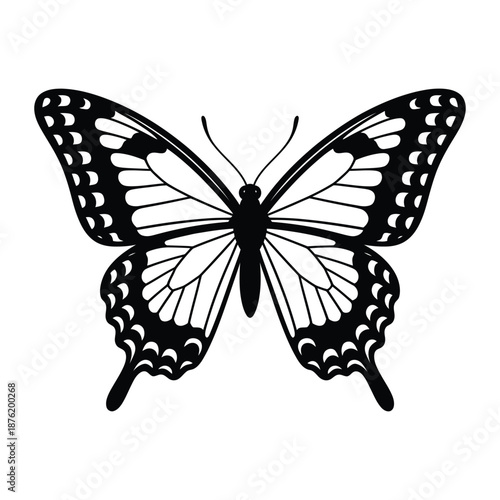 a black and white butterfly with spotted wings