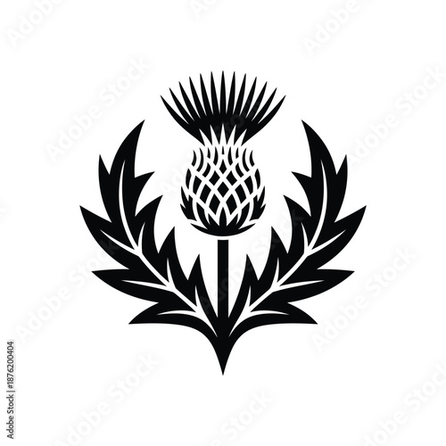 thistle flower and leaves in black silhouette on white background