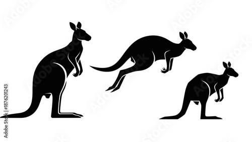 Set of four kangaroo silhouettes in different styles, clean vector illustrations.