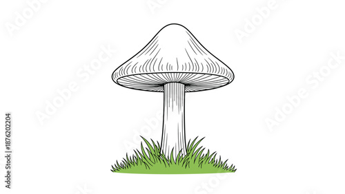 A simple yet detailed black and white line art illustration of a tall mushroom with a conical cap, growing in a small patch of green grass.