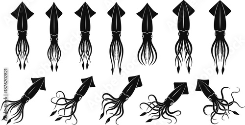 Collection of twelve black squid silhouette icons in vertical and horizontal swimming poses—ideal for marine design, ocean-themed graphics, and aquatic life illustration.