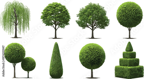 Collection of Diverse Tree and Topiary Shapes for Landscape Design, Gardening, Botanical Study, Nature Illustration, and Outdoor Decor Concepts