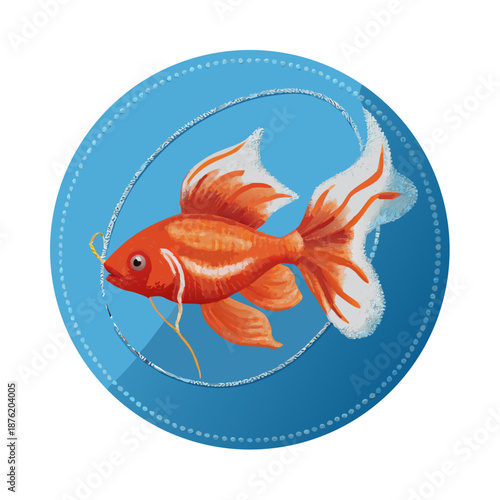 An orange goldfish with a golden tail and fin swims in an aquatic glass fishbowl or aquarium, isolated on a white background as a tropical pet underwater in clear water