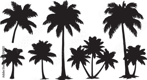 tropical coconut, palm tree silhouette