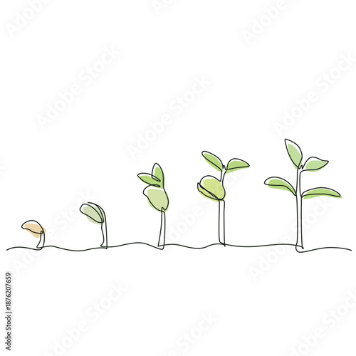 The process of plant growth one line drawing. The process of plant growth single line illustration. The process of plant growth minimalist line art. The process of plant growth vector art