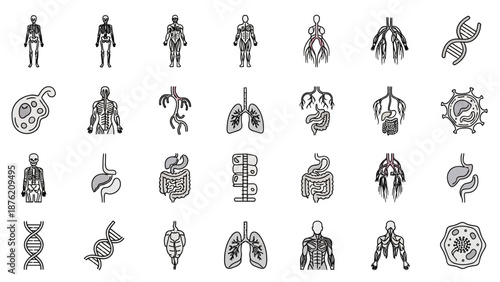 Human Anatomy Icons: Skeleton, Organs, DNA, Cell, Microbe Medical Health Science