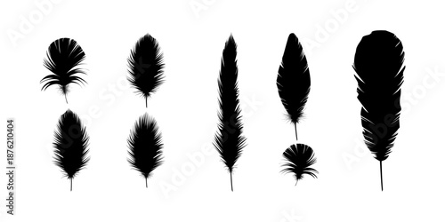 Realistic black fluffy twirled falling feather set with detailed textures for angel bird fantasy decoration spiritual design and elegant visual compositions