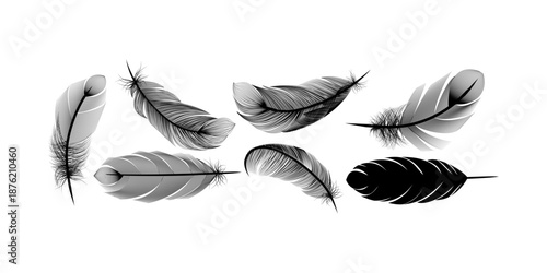 Realistic black fluffy falling twirled feather closeup set for angel bird clipart dark fantasy decoration and dramatic creative design use